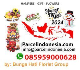 Toko Parcel di Jakarta by Parcelindonesia.com jual parcel natal tahun baru dan hampers christmas gratis ongkir dan bisa kirim ke berbagai kota besar di Indonesia